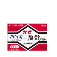 天真堂製薬 みみず一風散カプセル 総合感冒薬 指定第2類医薬品