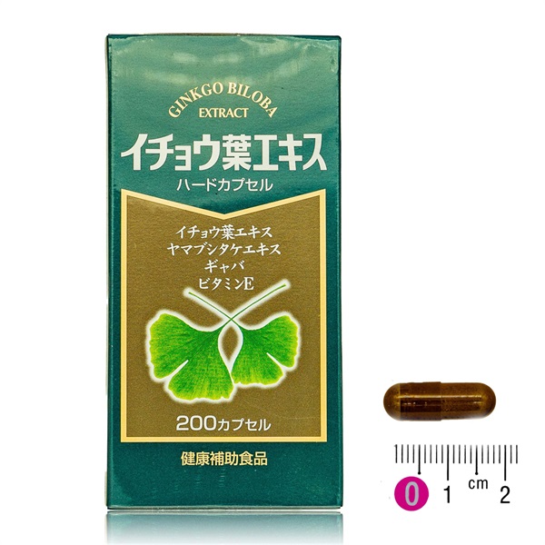 spitzheart様イチョウ葉エキス徳用200粒入25箱賞味期限2025年2月 - その他